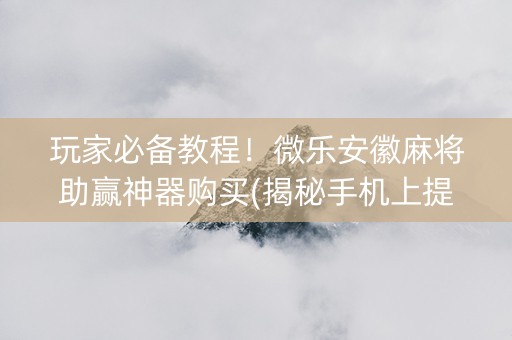玩家必备教程！微乐安徽麻将助赢神器购买(揭秘手机上提高胜率)