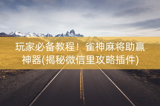 玩家必备教程！雀神麻将助赢神器(揭秘微信里攻略插件)