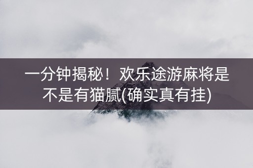 一分钟揭秘！欢乐途游麻将是不是有猫腻(确实真有挂)