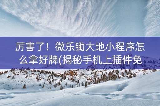 厉害了！微乐锄大地小程序怎么拿好牌(揭秘手机上插件免费)