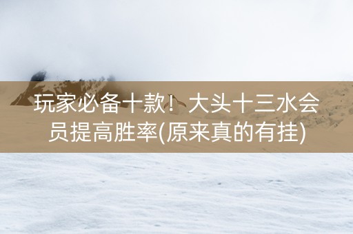 玩家必备十款！大头十三水会员提高胜率(原来真的有挂)