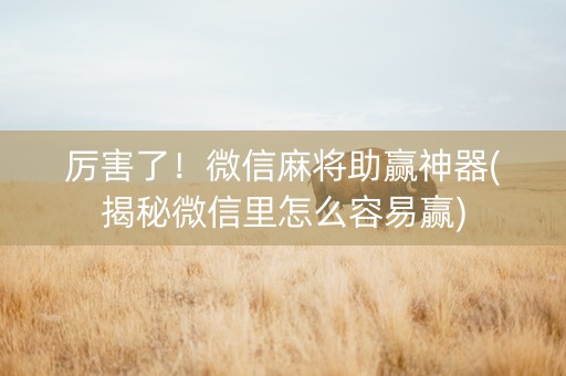 厉害了！微信麻将助赢神器(揭秘微信里怎么容易赢)