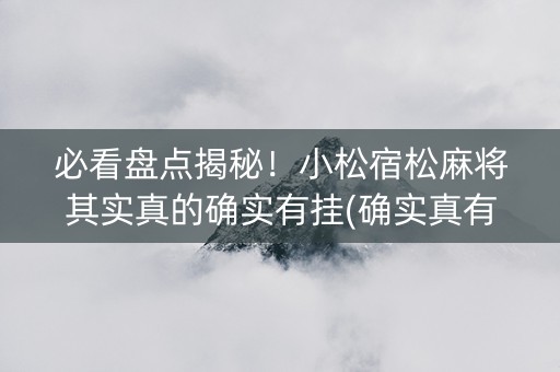 必看盘点揭秘！小松宿松麻将其实真的确实有挂(确实真有挂)