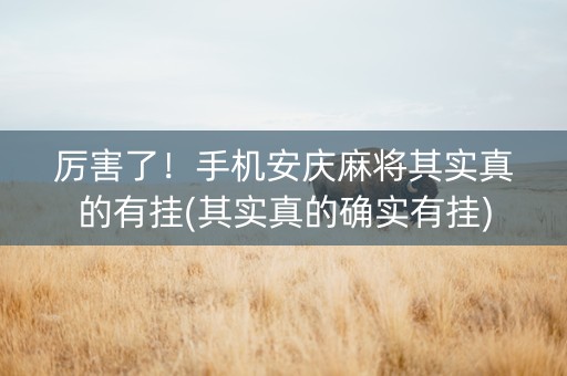 厉害了！手机安庆麻将其实真的有挂(其实真的确实有挂)