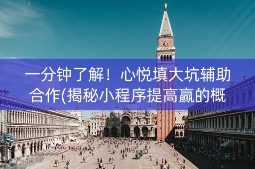 一分钟了解！心悦填大坑辅助合作(揭秘小程序提高赢的概率)