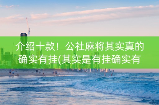 介绍十款！公社麻将其实真的确实有挂(其实是有挂确实有挂)