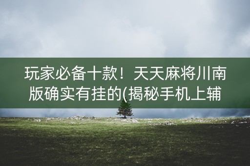 玩家必备十款！天天麻将川南版确实有挂的(揭秘手机上辅牌器)
