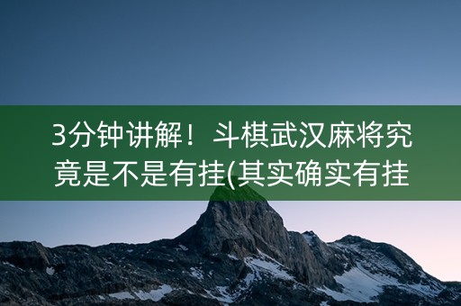 3分钟讲解！斗棋武汉麻将究竟是不是有挂(其实确实有挂)