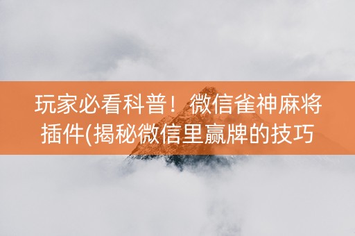 玩家必看科普！微信雀神麻将插件(揭秘微信里赢牌的技巧)