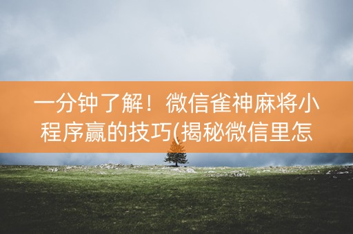 一分钟了解！微信雀神麻将小程序赢的技巧(揭秘微信里怎么容易赢)