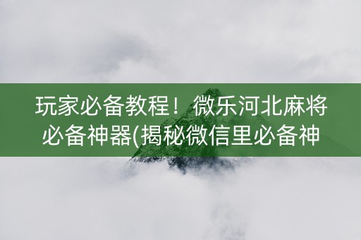 玩家必备教程！微乐河北麻将必备神器(揭秘微信里必备神器)