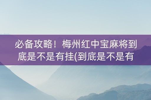 必备攻略！梅州红中宝麻将到底是不是有挂(到底是不是有挂)