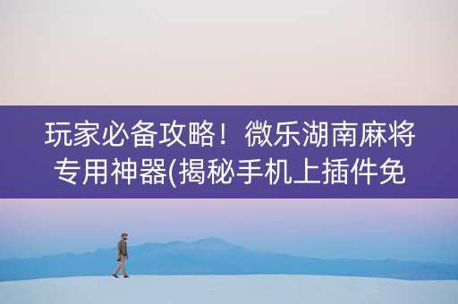 玩家必备攻略！微乐湖南麻将专用神器(揭秘手机上插件免费)