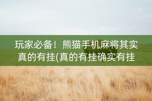 玩家必备！熊猫手机麻将其实真的有挂(真的有挂确实有挂)