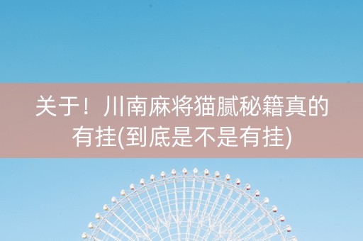 关于！川南麻将猫腻秘籍真的有挂(到底是不是有挂)