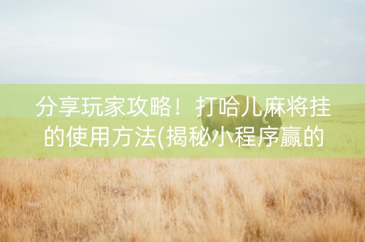 分享玩家攻略！打哈儿麻将挂的使用方法(揭秘小程序赢的秘诀)