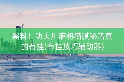 黑料！功夫川麻将猫腻秘籍真的有挂(有挂技巧辅助器)