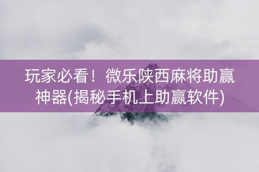 玩家必看！微乐陕西麻将助赢神器(揭秘手机上助赢软件)