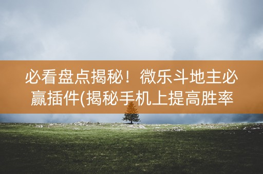 必看盘点揭秘！微乐斗地主必赢插件(揭秘手机上提高胜率)