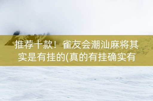 推荐十款！雀友会潮汕麻将其实是有挂的(真的有挂确实有挂)