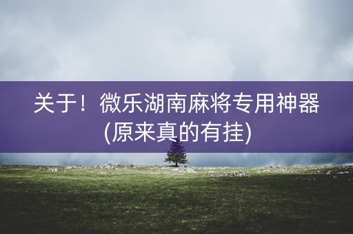 关于！微乐湖南麻将专用神器(原来真的有挂)