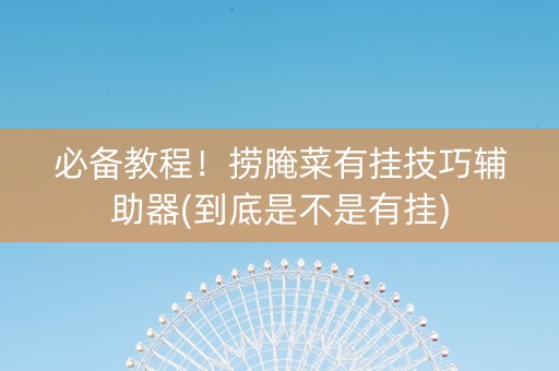 必备教程！捞腌菜有挂技巧辅助器(到底是不是有挂)