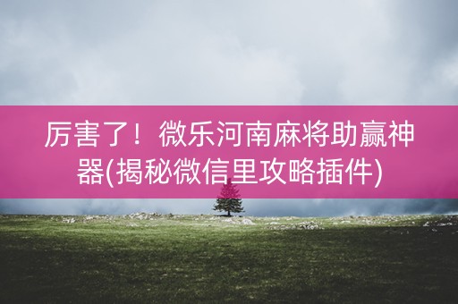 厉害了！微乐河南麻将助赢神器(揭秘微信里攻略插件)