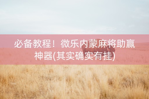必备教程！微乐内蒙麻将助赢神器(其实确实有挂)