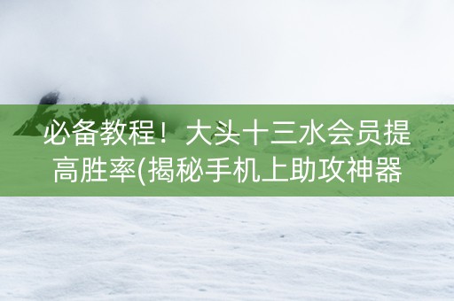 必备教程！大头十三水会员提高胜率(揭秘手机上助攻神器)