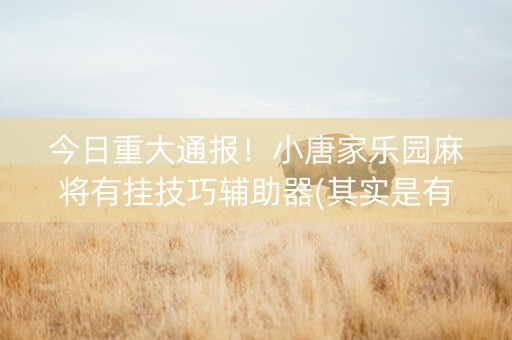 今日重大通报！小唐家乐园麻将有挂技巧辅助器(其实是有挂的)