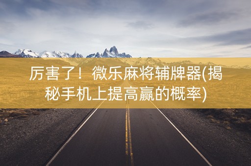 厉害了！微乐麻将辅牌器(揭秘手机上提高赢的概率)