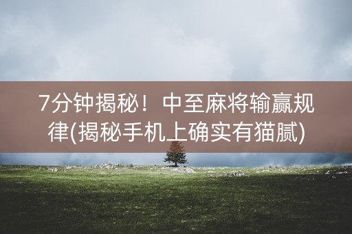 7分钟揭秘！中至麻将输赢规律(揭秘手机上确实有猫腻)
