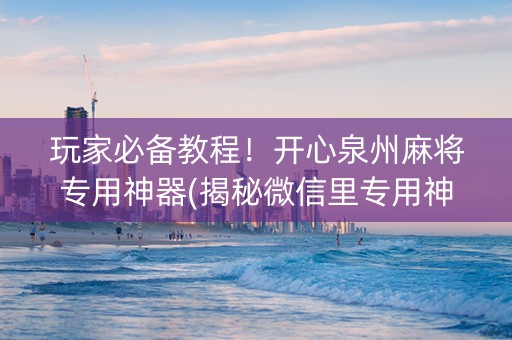 玩家必备教程！开心泉州麻将专用神器(揭秘微信里专用神器下载)