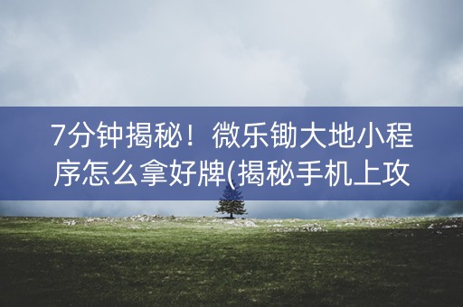 7分钟揭秘！微乐锄大地小程序怎么拿好牌(揭秘手机上攻略插件)