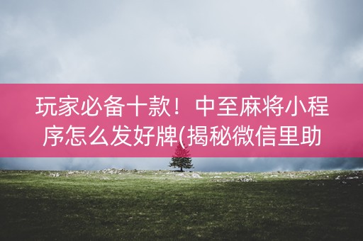 玩家必备十款！中至麻将小程序怎么发好牌(揭秘微信里助赢神器购买)