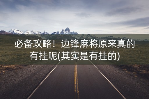 必备攻略！边锋麻将原来真的有挂呢(其实是有挂的)
