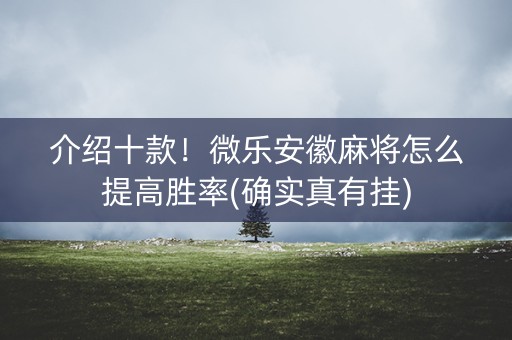 介绍十款！微乐安徽麻将怎么提高胜率(确实真有挂)
