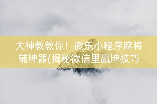 大神教教你！微乐小程序麻将辅牌器(揭秘微信里赢牌技巧)