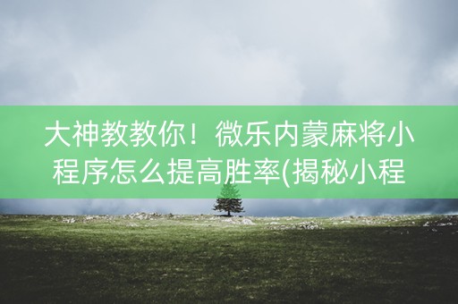 大神教教你！微乐内蒙麻将小程序怎么提高胜率(揭秘小程序怎么容易赢)