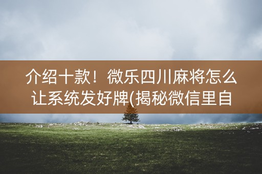 介绍十款！微乐四川麻将怎么让系统发好牌(揭秘微信里自建房怎么赢)