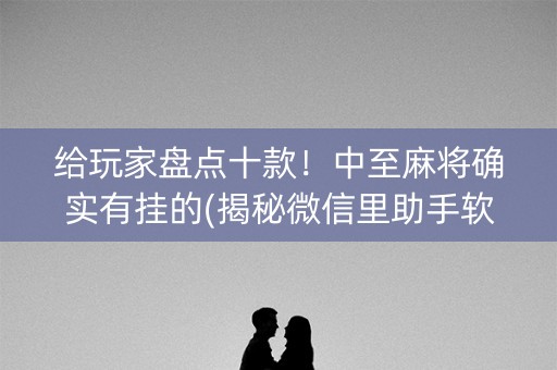 给玩家盘点十款！中至麻将确实有挂的(揭秘微信里助手软件)