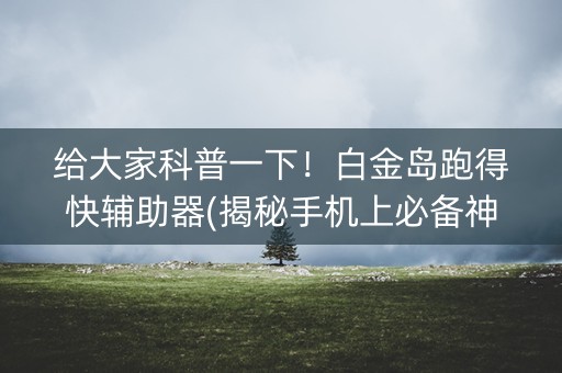 给大家科普一下！白金岛跑得快辅助器(揭秘手机上必备神器)
