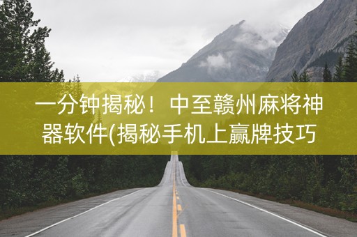 一分钟揭秘！中至赣州麻将神器软件(揭秘手机上赢牌技巧)