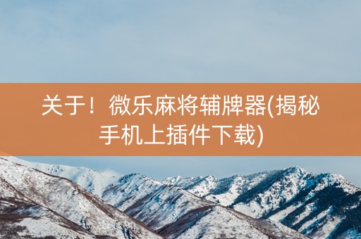 关于！微乐麻将辅牌器(揭秘手机上插件下载)