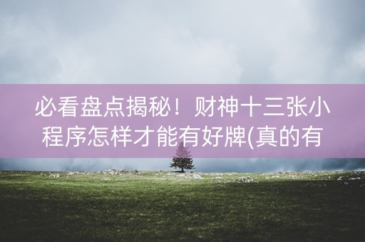 必看盘点揭秘！财神十三张小程序怎样才能有好牌(真的有挂确实有挂)