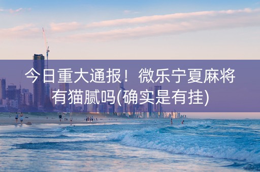 今日重大通报！微乐宁夏麻将有猫腻吗(确实是有挂)