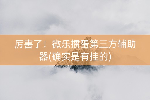 厉害了！微乐掼蛋第三方辅助器(确实是有挂的)