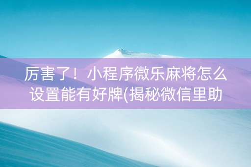 厉害了！小程序微乐麻将怎么设置能有好牌(揭秘微信里助赢神器购买)