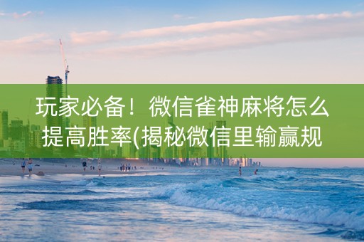 玩家必备！微信雀神麻将怎么提高胜率(揭秘微信里输赢规律)