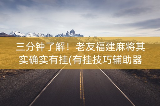 三分钟了解！老友福建麻将其实确实有挂(有挂技巧辅助器)